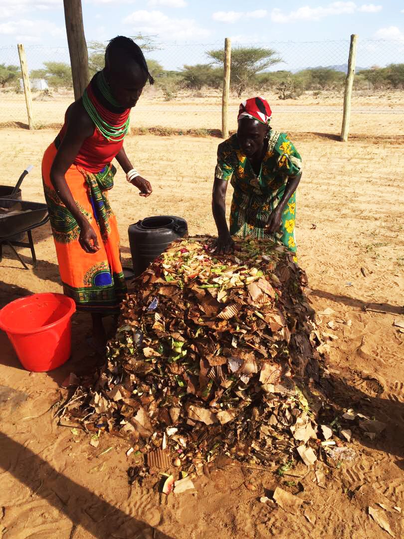 Compost built from farm and cardboard waste