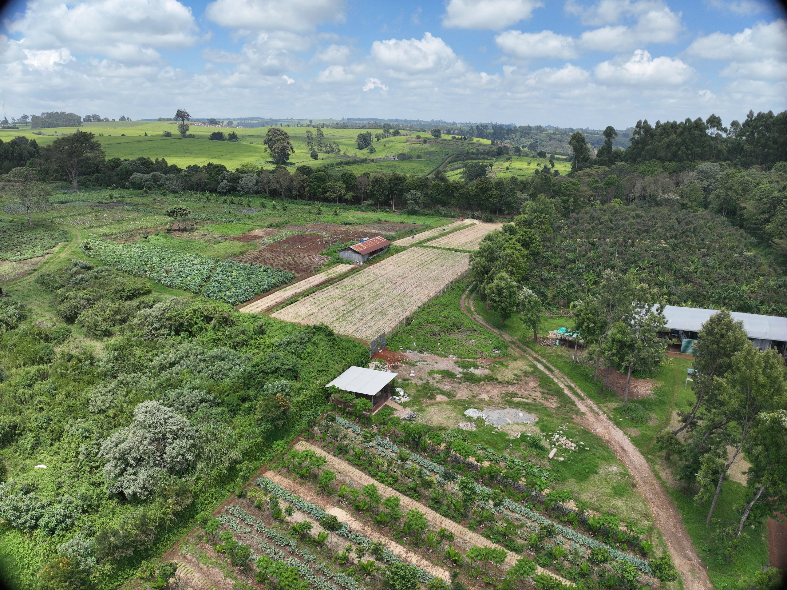 The producing farm today