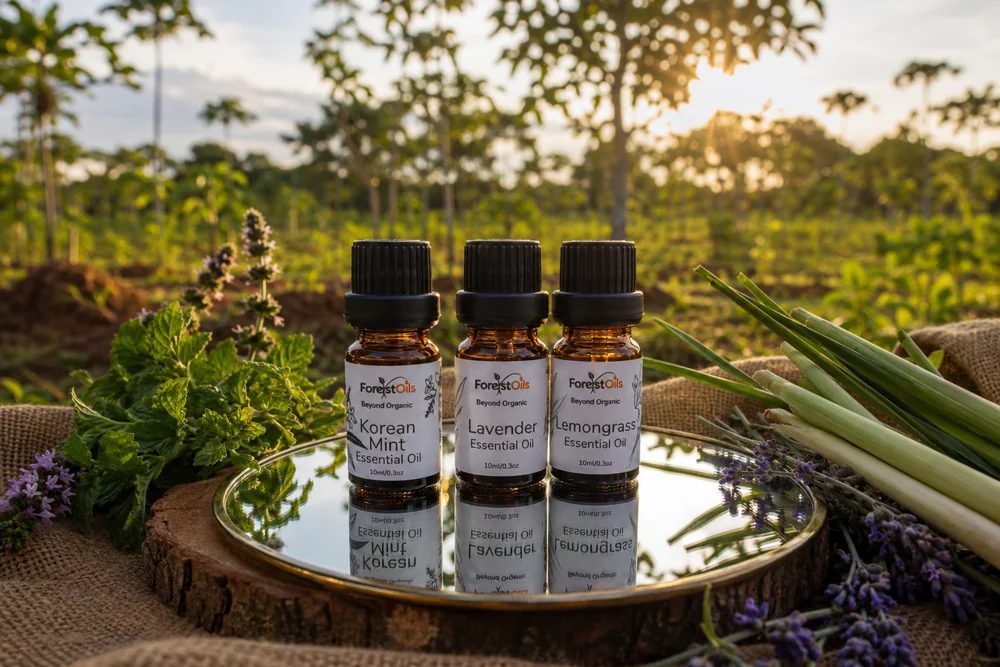 ForestOils essential oils at golden hour