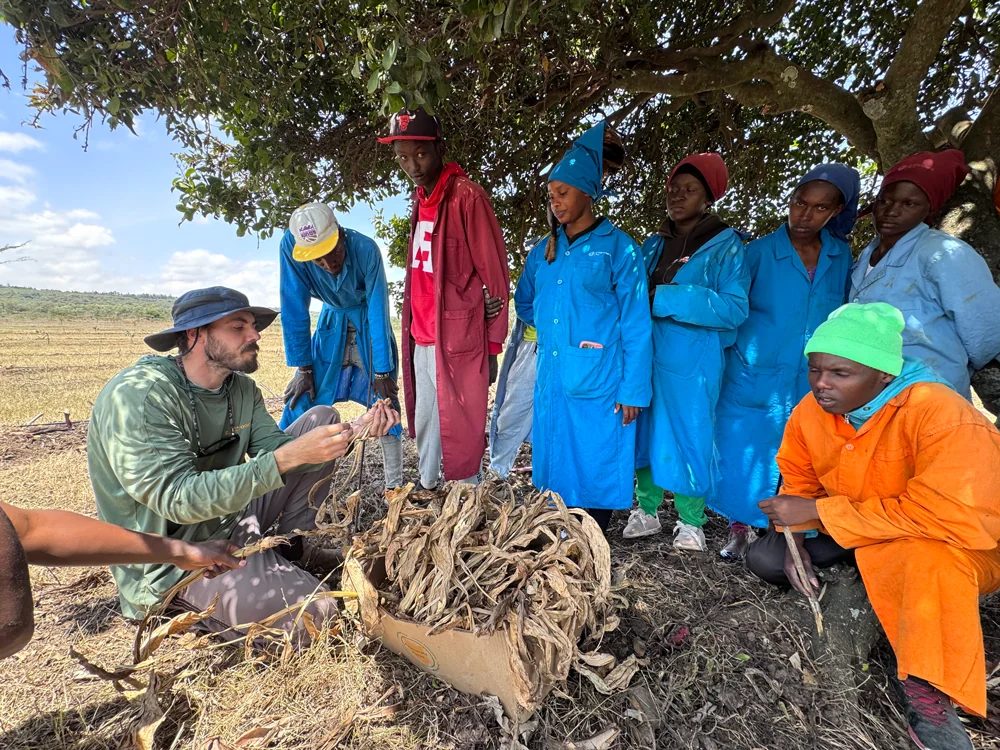 Training the next generation of forest farmers